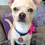 Florence-Rosa - @flothechi - Instagram
