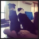 Florence & Ripley Savage - @florence_ripley - Instagram