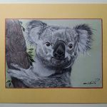 Florence Schweitzer - @florence.schweitzer.14 - Instagram