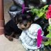 Florence Sears - Facebook