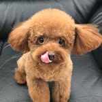 Florence Shum - @florence.ssy - Instagram