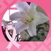 Florence Silver - Facebook