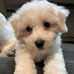Florence Snow - @gowith_theflo_23 - Instagram