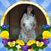 Florence Snyder - Facebook