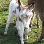 Florence Spring - @florence_spring13 - Instagram