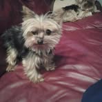 Florence Spruill - Facebook