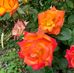 Florence Stanley - Facebook
