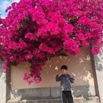 林芳因 - @florencestart - Instagram