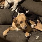 Florence Stark - Facebook