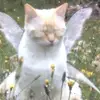 sophie - @florencestark - TikTok