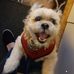 Florence Stuart - Facebook