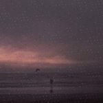 Sarah Ahmad - @florencestumpf450 - Instagram