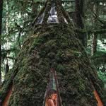 Earl Elliott 444 - @florencesutton_697347 - Instagram