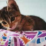 Florence Karen Swift Porter - @fj0rence - Instagram