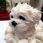 Florence Talbot - @florence.talbot.7 - Instagram