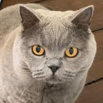 Florence Abigail Donnithorne - @florenceabigaildonnithorne - Instagram
