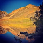 Florene Trainor - @florenephotos - Instagram