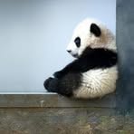 Florence Tran - Facebook