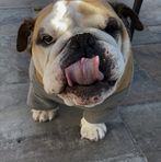 Florence Tran - Facebook