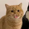 Florence Tran - @carol.nse - TikTok