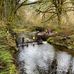 Florence Salmon and Trout Enhancement Program - Facebook