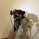 Florence Tse - @cottontse67 - Instagram