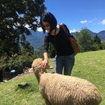 Florence Tsui - @flotsui - Instagram