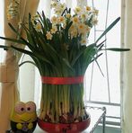 Florence Tsui - Facebook