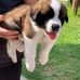 Florence Tyson - Facebook