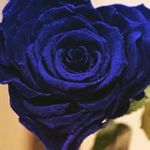 Florence Vasquez - @florence.vasquez.7798 - Instagram