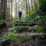 Florence R. Warner - @wondering_hiker - Instagram