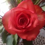 Florence Warner - @florence_warner12 - Instagram