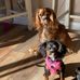 Florence Webster - Facebook