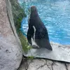 Florence Wilkins - @florence.wilkins4 - TikTok