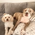 Florence Wilkinson  - Facebook