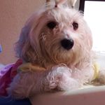 Florencio Bravo Flores - @florb.ra - Instagram