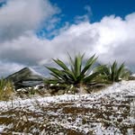 Florencio Vidal - @florencio.vidal.71 - Instagram