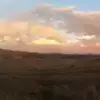 Oso P4ch0n - @florenciovidal5 - TikTok