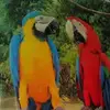 vidalflorencio112 - @vidalflorencio112 - TikTok