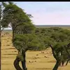 flores Rivera - @flores.rivera6 - TikTok