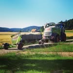 Florian Bauer - @florianbauer496 - Instagram
