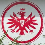 Florian Brenner - @bembelbeer - Instagram