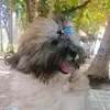 Florian Castillo - @florian.castillo7 - TikTok