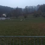 Florian Hafner - @florian.hafner.501 - Instagram