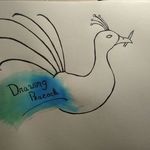 Florian Koch - @drawing_peacock - Instagram
