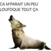 💫💫FLO_11💫💫 - @florian_martin - TikTok