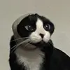 Florian Schwarz - @florianschwarz96 - TikTok
