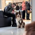 Florian Schwarz - @flofreakout - Instagram