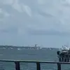 floridaramos7 - @floridaramos7 - TikTok