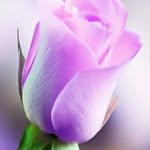 floridalma Ramírez - @floridalma1022 - Instagram